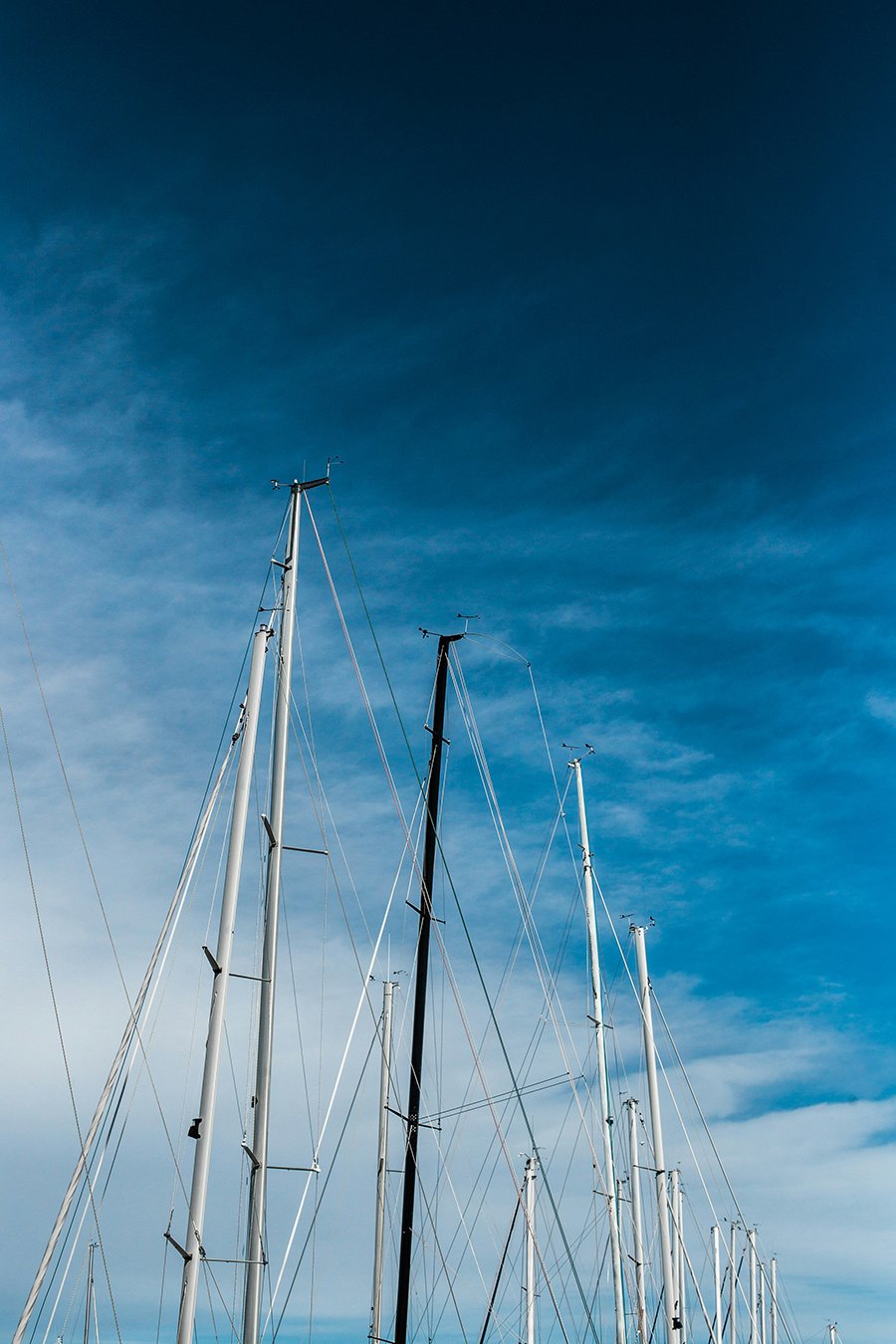 inja-pavlic-74oCUxpag_s-unsplash